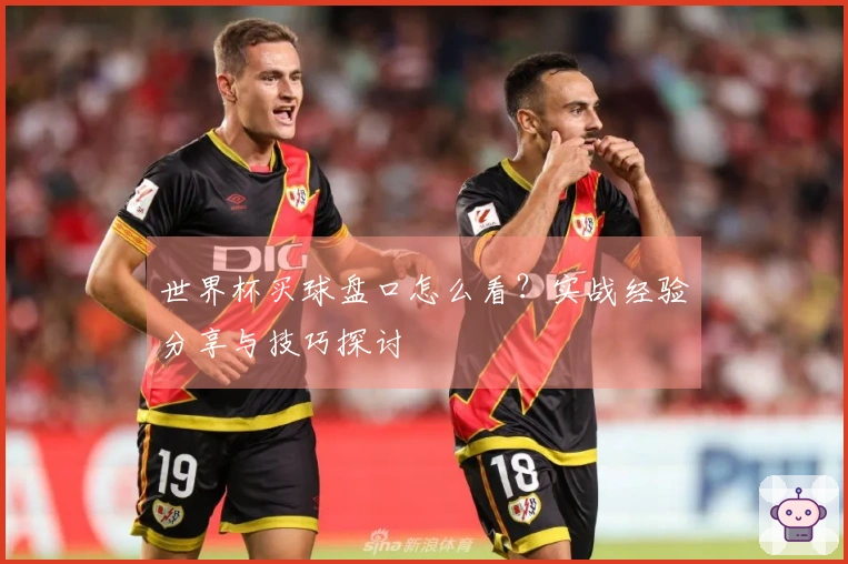 世界杯买球盘口怎么看？实战经验分享与技巧探讨