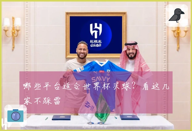 哪些平台适合世界杯买球？看这几家不踩雷