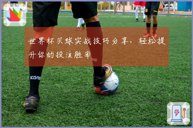世界杯买球实战技巧分享，轻松提升你的投注胜率
