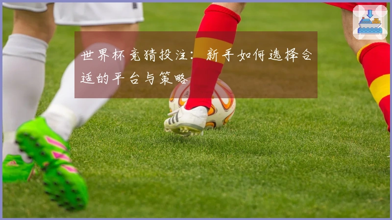世界杯竞猜投注：新手如何选择合适的平台与策略