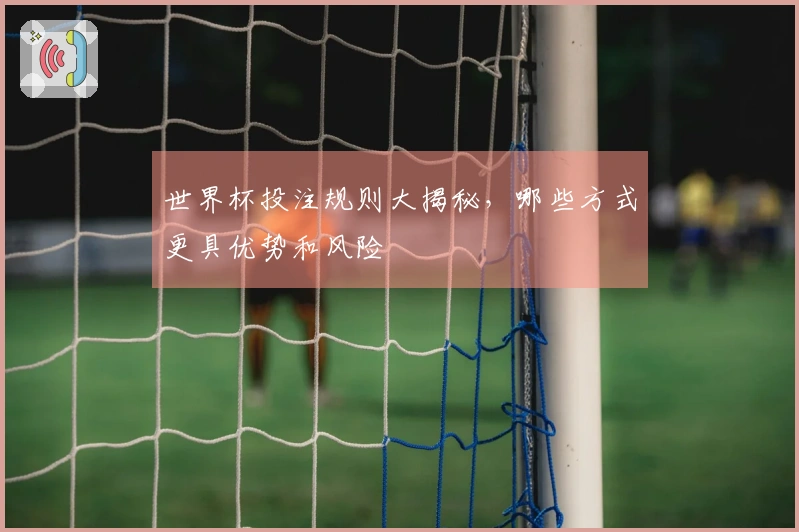 世界杯投注规则大揭秘，哪些方式更具优势和风险
