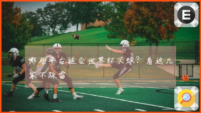 哪些平台适合世界杯买球？看这几家不踩雷