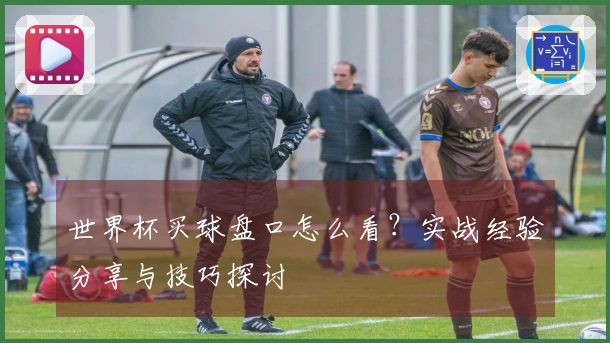 世界杯买球盘口怎么看？实战经验分享与技巧探讨