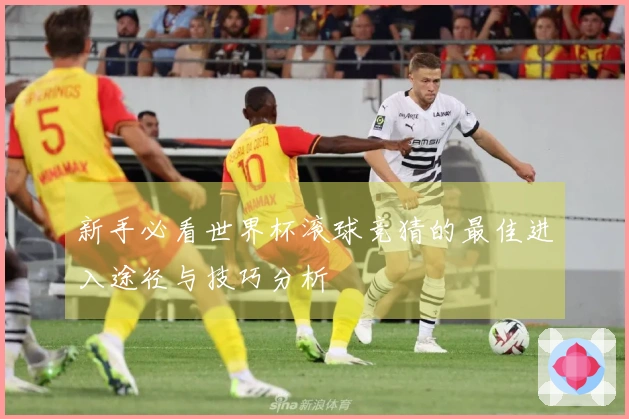 新手必看世界杯滚球竞猜的最佳进入途径与技巧分析