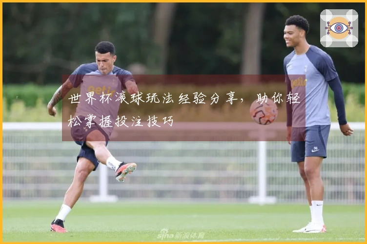 世界杯滚球玩法经验分享,助你轻松掌握投注技巧