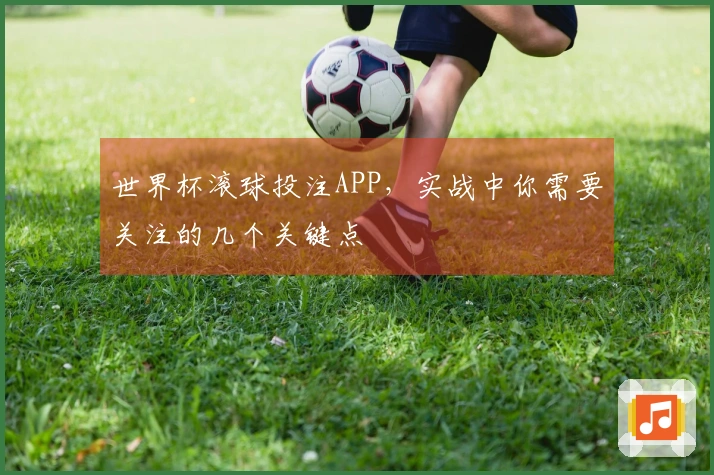 世界杯滚球投注APP，实战中你需要关注的几个关键点