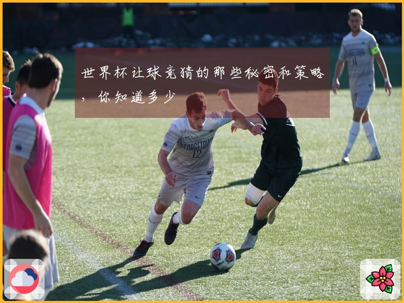 世界杯让球竞猜的那些秘密和策略，你知道多少