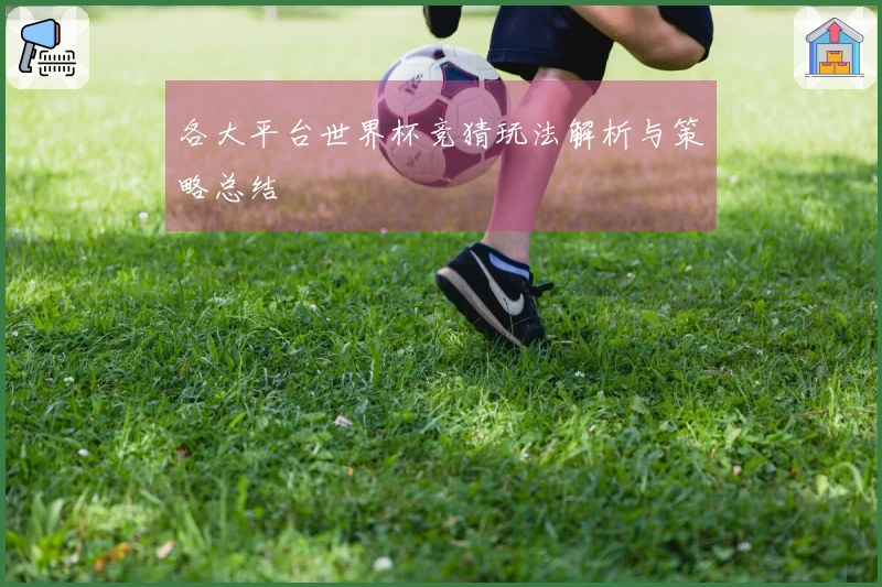 各大平台世界杯竞猜玩法解析与策略总结