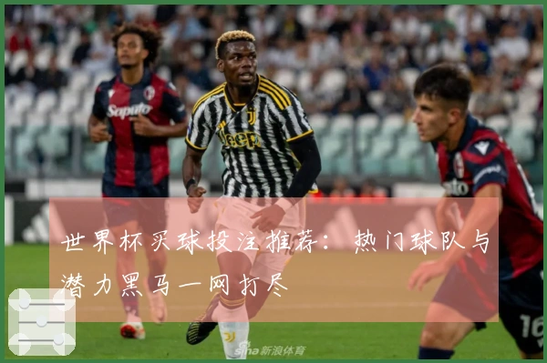 世界杯买球投注推荐：热门球队与潜力黑马一网打尽