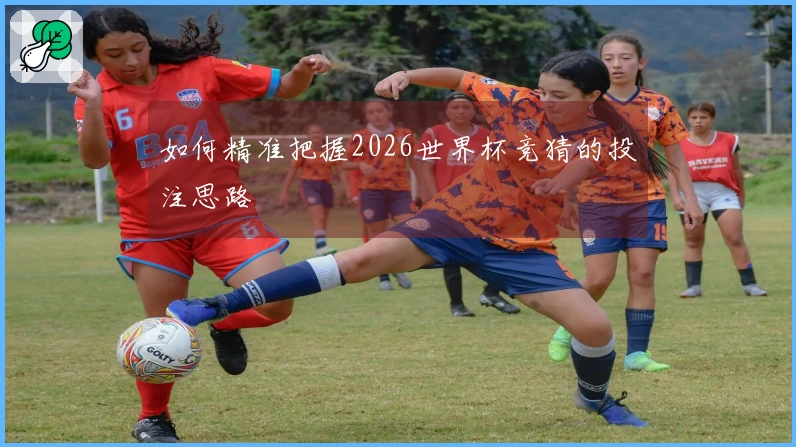 如何精准把握2026世界杯竞猜的投注思路