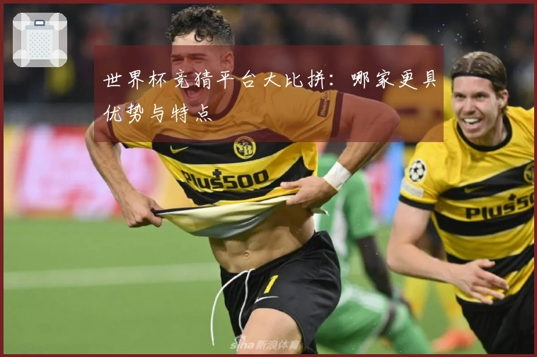 世界杯竞猜平台大比拼：哪家更具优势与特点